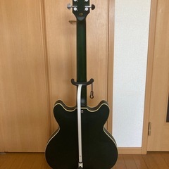 PLAYTECH SA20 Green　セミアコースティックギターの画像