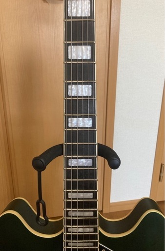 PLAYTECH SA20 Green　セミアコースティックギター