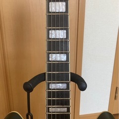 PLAYTECH SA20 Green　セミアコースティックギターの画像