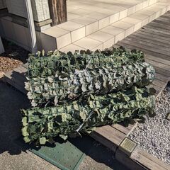 グリーンフェンス　目隠しの画像