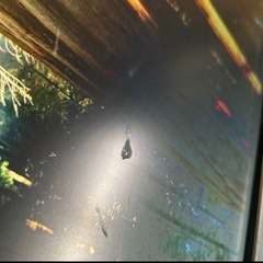Dell 23インチ フルHDモニターの画像