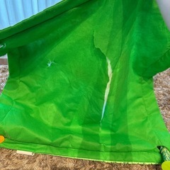 難あり　レインフォレス　プレイングジムの画像