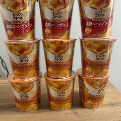 じっくりコトコト9個セット　2026.7月賞味期限