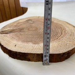 スギ輪切り丸太の画像