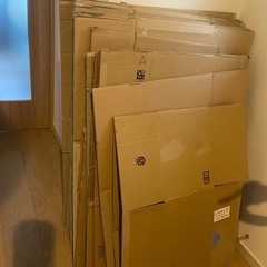 ダンボールの画像