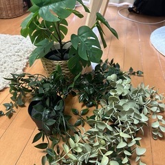 イケアのフェイクグリーン3点セット