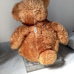 大きめのクマのぬいぐるみの画像
