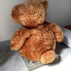 大きめのクマのぬいぐるみの画像