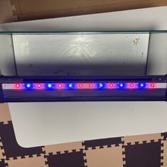 水槽-LED ライトの画像