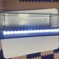 水槽-LED ライトの画像