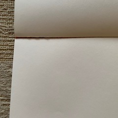ポケモンちよがみ、お絵描き帳、シールの画像