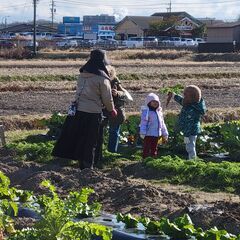 日進市の市民農園（貸し農園）『楽楽のうえん』で、野菜を育ててみませんか？ - メンバー募集