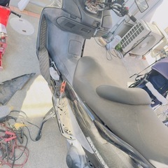 今月までの最終値下げ！！
スカイウェイブ250の画像