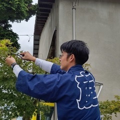 🌲お庭の管理（剪定、草刈り）🌳※早めのご予約お問い合わせお願いします🙇