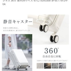 【値段交渉】ARIAMARU スーツケースの画像