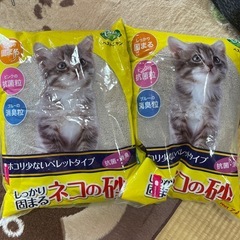 ネコ砂