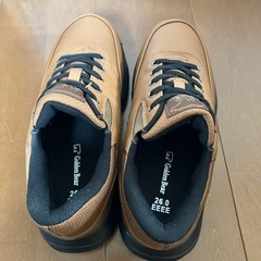 ゴールデンベアー　靴の画像