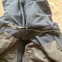 ナノユニバースの画像