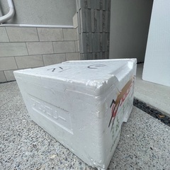 発泡スチロールの箱　冷蔵庫の引越しに