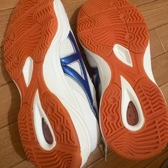 未使用　体育館ばき　25.5cm　の画像