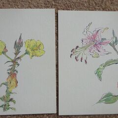 はがき箋　草花　５枚　Ｊの画像