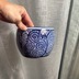 ランキングキーワードに紐づく投稿画像-観葉植物