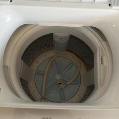 【美品】TOSHIBA 東芝 全自動洗濯機 5kg AW-5GA2W 2023年製の画像