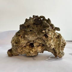 ライブロック1.1kg