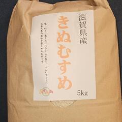 山口県美祢産きぬむすめ精米済み30kg