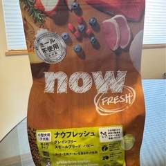 now フレッシュ　グレインフリーパピー