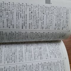 外来語新語辞典の画像