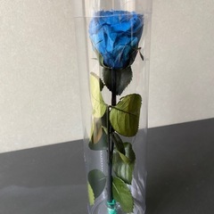 プリザーブドフラワー　青い薔薇