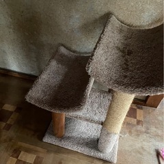 キャットタワーの画像