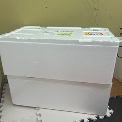発泡スチロール