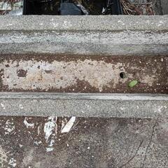 コンクリート製のしっかりした植木鉢の画像