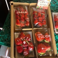 極甘🍓オススメ4種食べ比べセット⭐︎