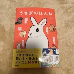 うさぎのほんね