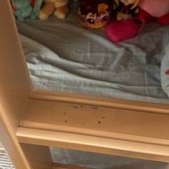 2段ベッド&マットレスのセット の画像