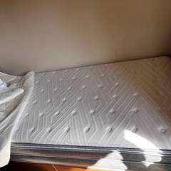 まだ買って間もないベッドとマットレスの画像