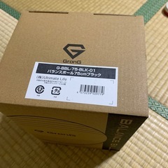 （商談中）バランスボールの画像