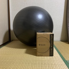 （商談中）バランスボール