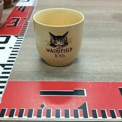 0308-186 わちふぃーるど　湯呑