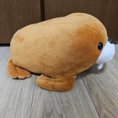 AQUA ぬいぐるみ すやすや セイウチの画像