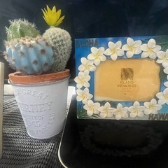 ~3月15日締め切り~写真立て🌺サボテンの置物🌵の画像