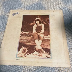 イルカ夢の人LPレコードの画像