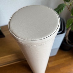 【美品•正規品】ベージュ　ストレッチポールの画像
