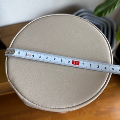 【美品•正規品】ベージュ　ストレッチポールの画像