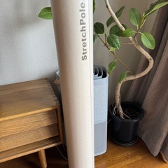 【美品•正規品】ベージュ　ストレッチポール
