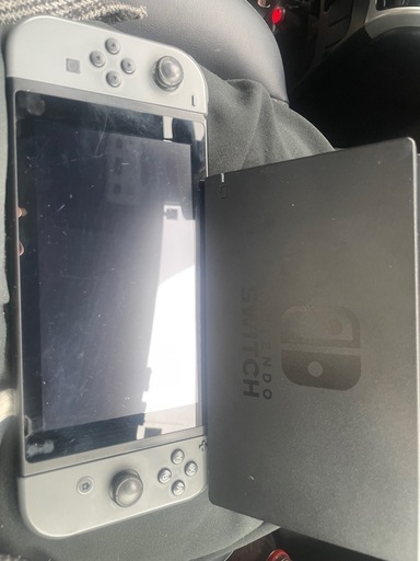 その他 Nintendo Switch\n