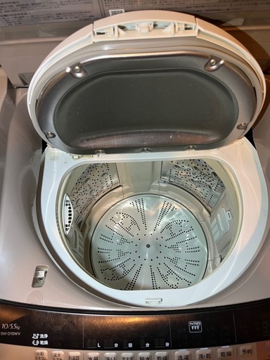日立 ビートウォッシュ縦型洗濯乾燥機 10kg BW-D10WV